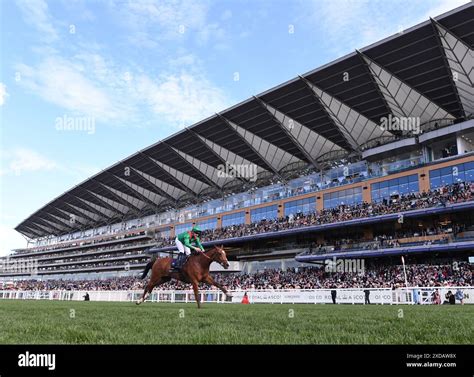 King Edward VII Stakes 2024 .